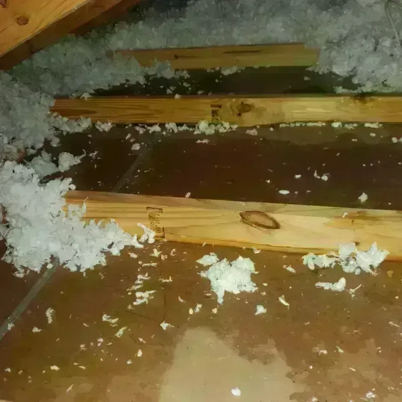 Attic Water Damage in Marshall County, IL