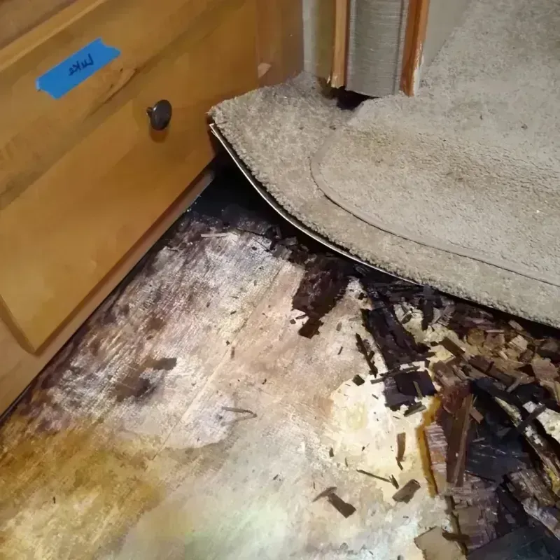 Best Wood Floor Water Damage Service in Marshall County, IL